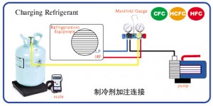RSC 501